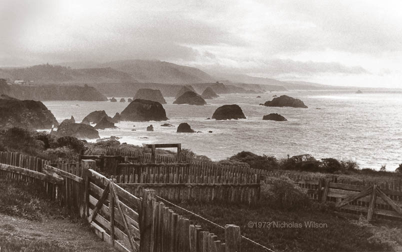 Classic view of the Mendocino Coast at Cuffey's Cove looking south to Point Arena. Photo 1973 Nicholas Wilson.