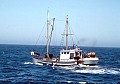 The U.S. fishing boat Eagle out of Bodega Bay. Compare this to the dozen Soviet 300 ft. trawlers operating in the same area.