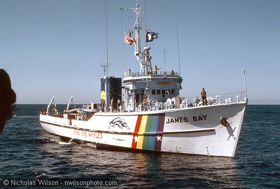 The Greenpeace ship James Bay meets up with the Phyllis Cormack 100 mi. off Cape Mendocino July 1, 1976.