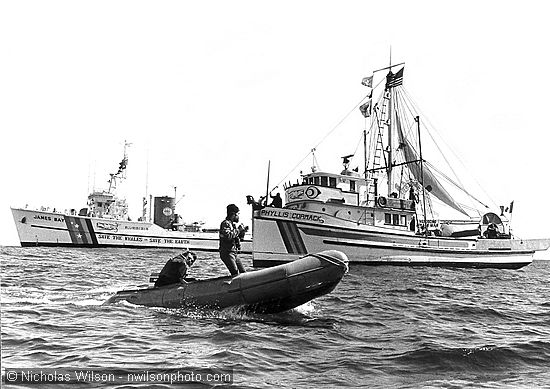 Mendocino Whale War and Greenpeace vessels rendezvous 100 miles off Cape Mendocino during the anti-whaling campaign of 1976. The Zodiac inflatable in foreground was off the Greenpeace ship James Bay, while the photo was taken from another inflatable off the Mendocino Whale War boat Phyllis Cormack, seen at right.