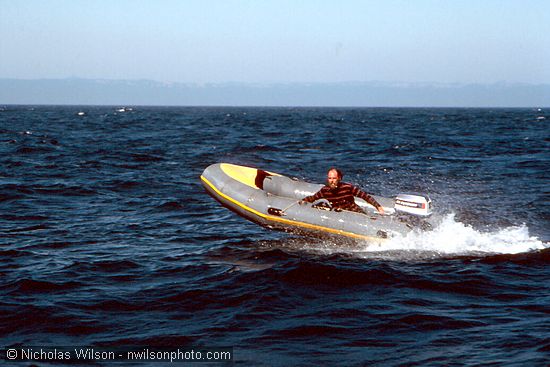 John Griffith does a test run in a high-speed inflatable boat off the Phyllis Cormack.