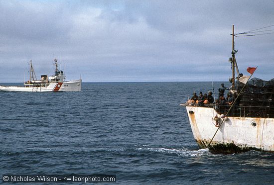 The U.S. Coast Guard observes as a South Korean crab boat puts out hundreds of pots on long lines just outside the 12-mile limit in July 1976.