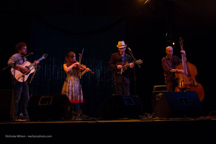 Taarka played a wide variety of styles ranging from Celtic Honky-Tonk to Calypso-Klezmer to Turkish folk.