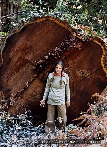 Meca Wawona with 10 ft. diameter redwood cut down by Georgia Pacific 1975